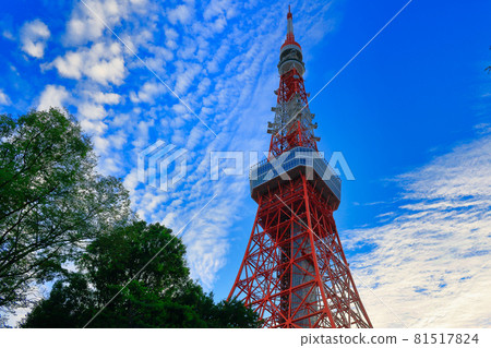 Tokyo Tower Tokyo Tower 81517824