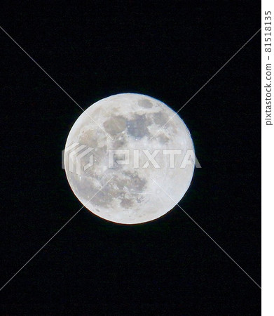  滿月 81518135