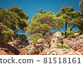 Mountains, rocks, large stones and trees in the 81518161