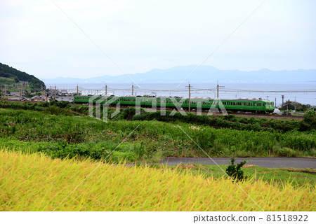 Six 117 series ordinary trains running behind Lake Biwa Six 117 series ordinary trains running behind Lake Biwa 81518922