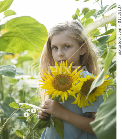 Beautiful little girl in sunflowers 81519137