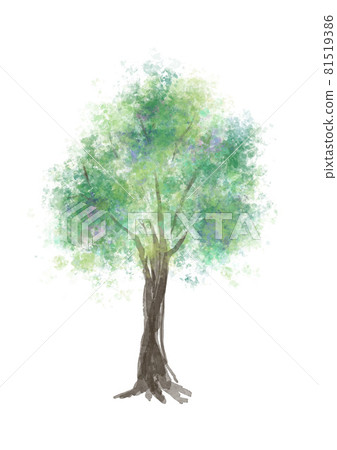 Watercolor trees, handwritten illustrations, vector materials, forests Watercolor trees, handwritten illustrations, vector materials, forests 81519386
