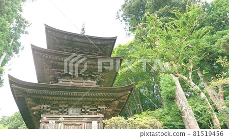 Summer National Treasure Daihoji Triple Pagoda Summer National Treasure Daihoji Triple Pagoda 81519456
