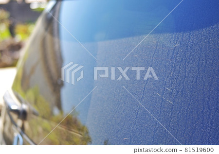 汽車污垢後玻璃 81519600