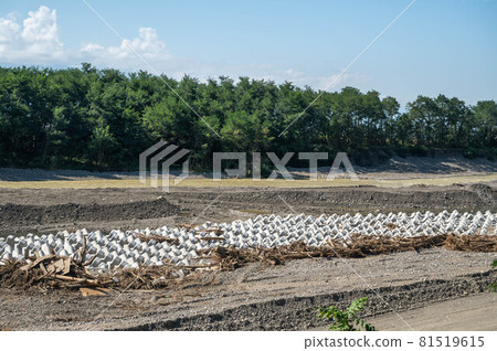 Wave-dissipating blocks lined up in rivers Wave-dissipating blocks lined up in rivers 81519615