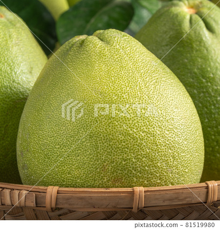 Pomelo Mid-Autumn Festival black background pomelo Mid-Autumn Festival ユズ ゆず Pomelo Mid-Autumn Festival black background pomelo Mid-Autumn Festival ユズ ゆず 81519980