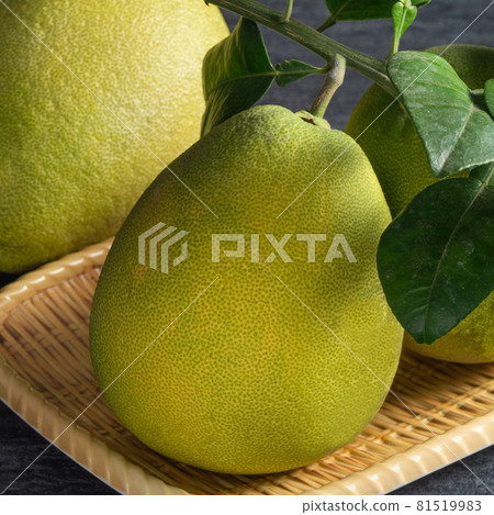 Pomelo Mid-Autumn Festival black background pomelo Mid-Autumn Festival ユズ ゆず 81519983