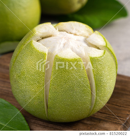 柚子 中秋節 灰色 背景 pomelo Mid-Autumn Festival ユズ ゆず 81520022