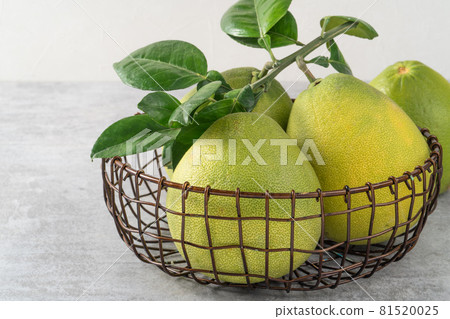 柚子 中秋節 灰色 背景 pomelo Mid-Autumn Festival ユズ ゆず 柚子 中秋節 灰色 背景 pomelo Mid-Autumn Festival ユズ ゆず 81520025