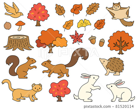 Illustration set of small animals in the forest and autumnal trees and leaves 81520114