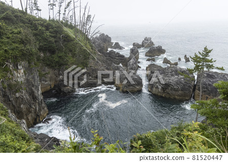 Kesennuma City, Miyagi Prefecture Sea Walkway Kesennuma City, Miyagi Prefecture Sea Walkway 81520447