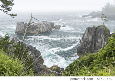 宮城縣氣仙沼市海濱長廊，岩石區的風景，漩渦，洋流，波前 81520570