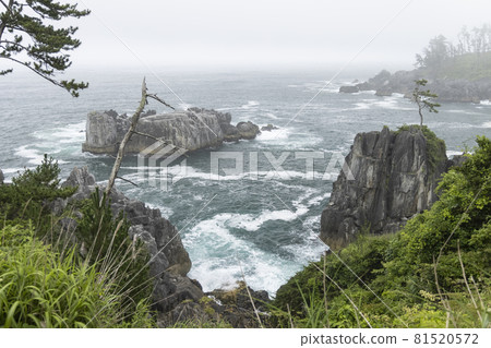宮城縣氣仙沼市海濱長廊，岩石區的風景，漩渦，洋流，波前 81520572