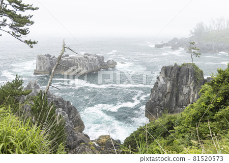 宮城縣氣仙沼市海濱長廊,岩石區的風景,漩渦,洋流,波前 宮城縣氣仙沼市海濱長廊,岩石區的風景,漩渦,洋流,波前 81520573