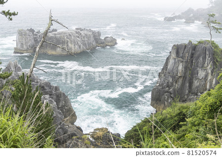宮城縣氣仙沼市海濱長廊，岩石區的風景，漩渦，洋流，波前 81520574