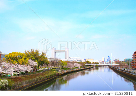 名古屋市春景、櫻花、世紀堂 名古屋市春景、櫻花、世紀堂 81520811