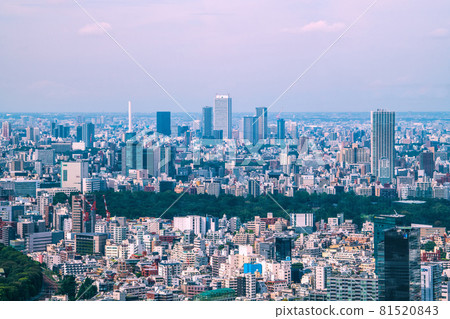 日本東京城市景觀俯瞰池袋和新宿御苑的摩天大樓 81520843