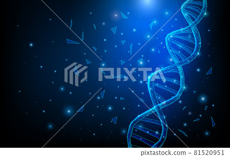 Wireframe DNA molecules structure mesh low poly consisting of points, lines, and shapes on dark blue background. Science and Technology concept 81520951