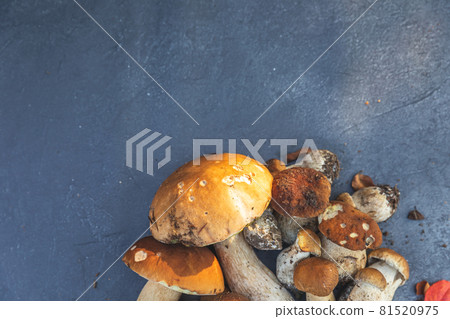 Autumn fall composition. Raw edible mushrooms Penny Bun on dark black stone shale background. Ceps over gray table. Cooking delicious organic mushroom gourmet food. Flat lay, top view copy space 81520975