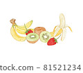 Set of fruit,hand draw sketch vector. 81521234