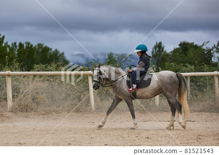 5-year-old girl riding a horse. infalltil sport concept 5-year-old girl riding a horse. infalltil sport concept 81521543