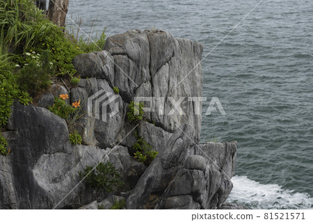 Discovery of a coastal promenade in Kesennuma City, Miyagi Prefecture, a steep rocky area Discovery of a coastal promenade in Kesennuma City, Miyagi Prefecture, a steep rocky area 81521571