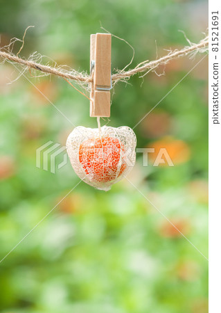 Openwork physalis hung on a hemp string with a clip against the background of a flower field. 81521691