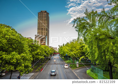 << Aichi Prefecture >> Nagoya cityscape Wakamiya Odori 81522109