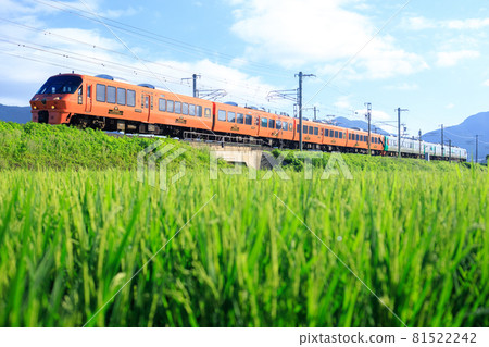 Rural scenery and 783 series limited express train (JR Kyushu) 81522242