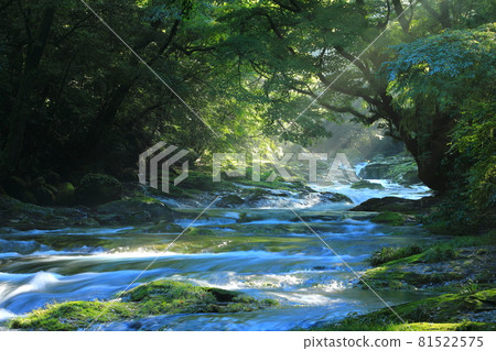A ray of light emerges from Kikuchi Valley (Kikuchi City) 81522575