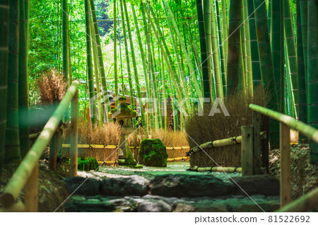 鎌倉Hogokuji竹園 鎌倉Hogokuji竹園 81522692