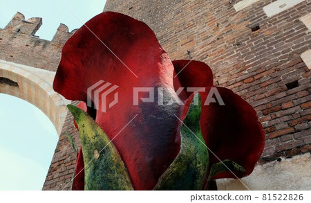 a view of a street of verona in italy a view of a street of verona in italy 81522826