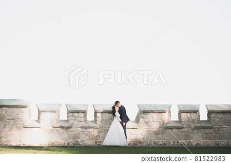 Perfect couple bride, groom posing and kissing in their wedding day 81522983