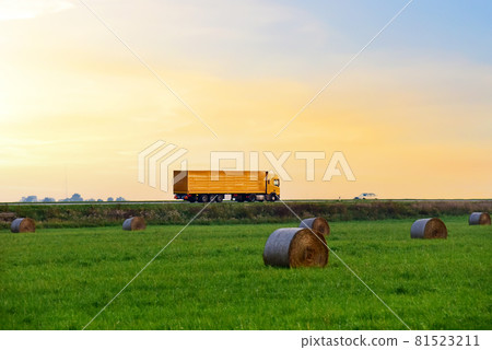 View of a field with hay in rolls against the background of trucks with semi-trailer driving 81523211