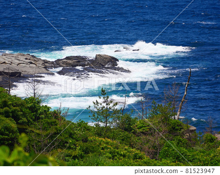 Rough wave seaweed stone garden Rough wave seaweed stone garden 81523947