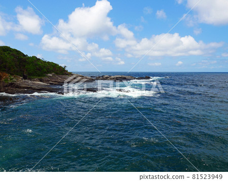 粗波海藻石園 粗波海藻石園 81523949