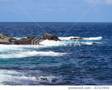 粗波海藻石園 粗波海藻石園 81523950