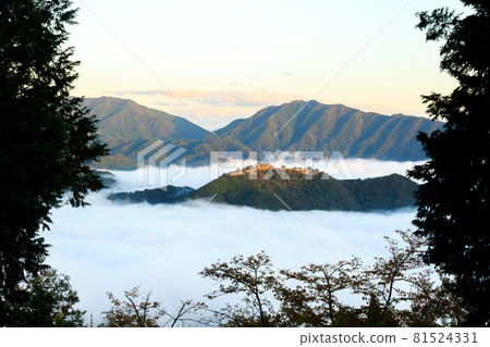 [Castle in the Sky] Takeda Castle in the sea of clouds in the early morning 81524331