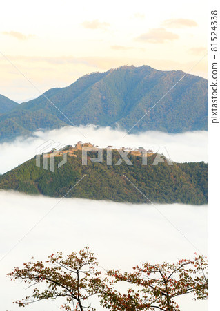 【天空之城】清晨的雲海中的武田城 81524338