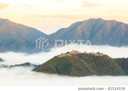[Castle in the Sky] Takeda Castle in the sea of clouds in the early morning 81524339