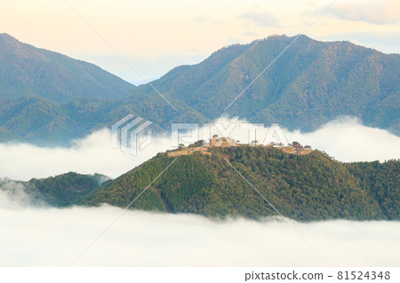[Castle in the Sky] Takeda Castle in the sea of clouds in the early morning 81524348