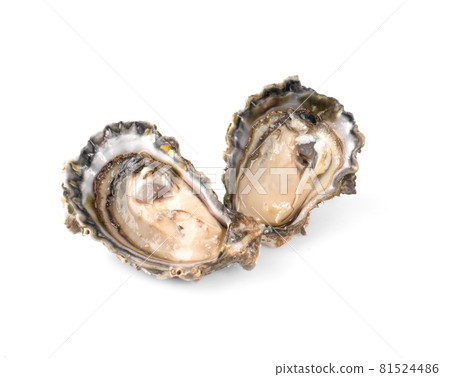 Fresh opened oyster on white background 81524486
