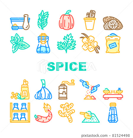 Spice Vegetable Food Collection Icons Set Vector 81524498