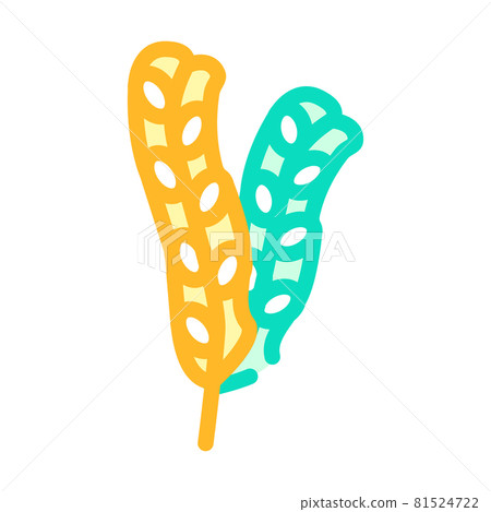 fucus vesiculosus seaweed color icon vector illustration 81524722