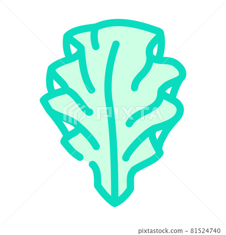 ulva lettuce seaweed color icon vector illustration 81524740
