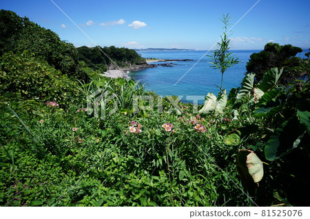 鳥瞰大浦海灘 鳥瞰大浦海灘 81525076