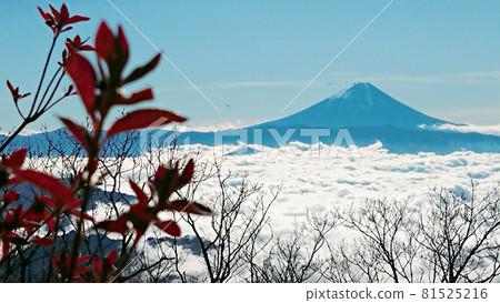 Mt. Fuji and the sea of clouds from Mt. Kayagatake 81525216