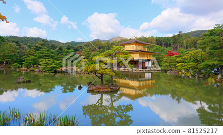 Kinkakuji Temple in the blue sky (Kaenji Temple) Kinkakuji Temple in the blue sky (Kaenji Temple) 81525217