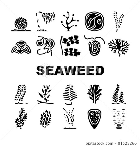 Seaweed Sea Underwater Plant Icons Set Vector 81525260