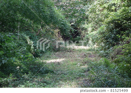 Enshu Railway Okuyama Line Tunnel trace and continuous track trace 81525499
